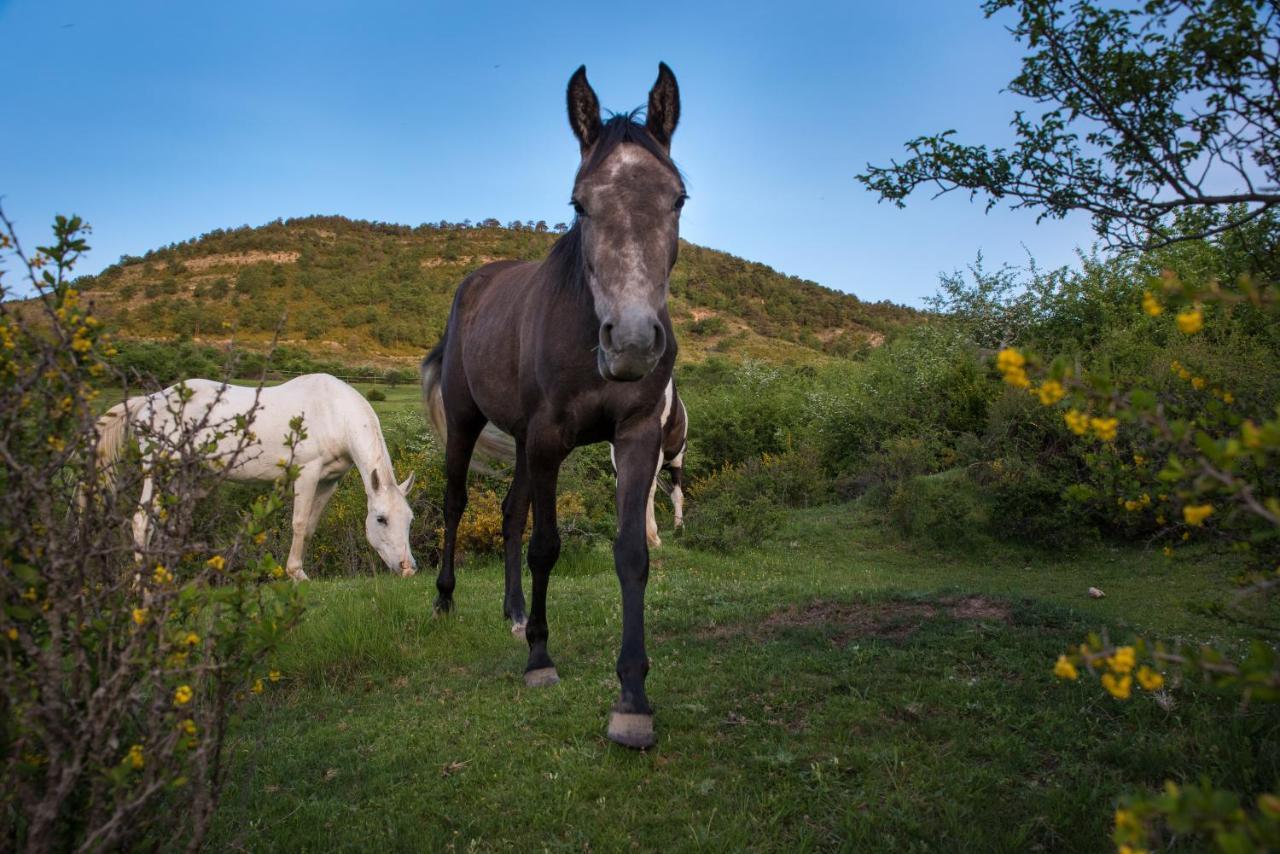 Hospedaje Rural Casa Parri Поведа-де-ла-Сьерра Экстерьер фото